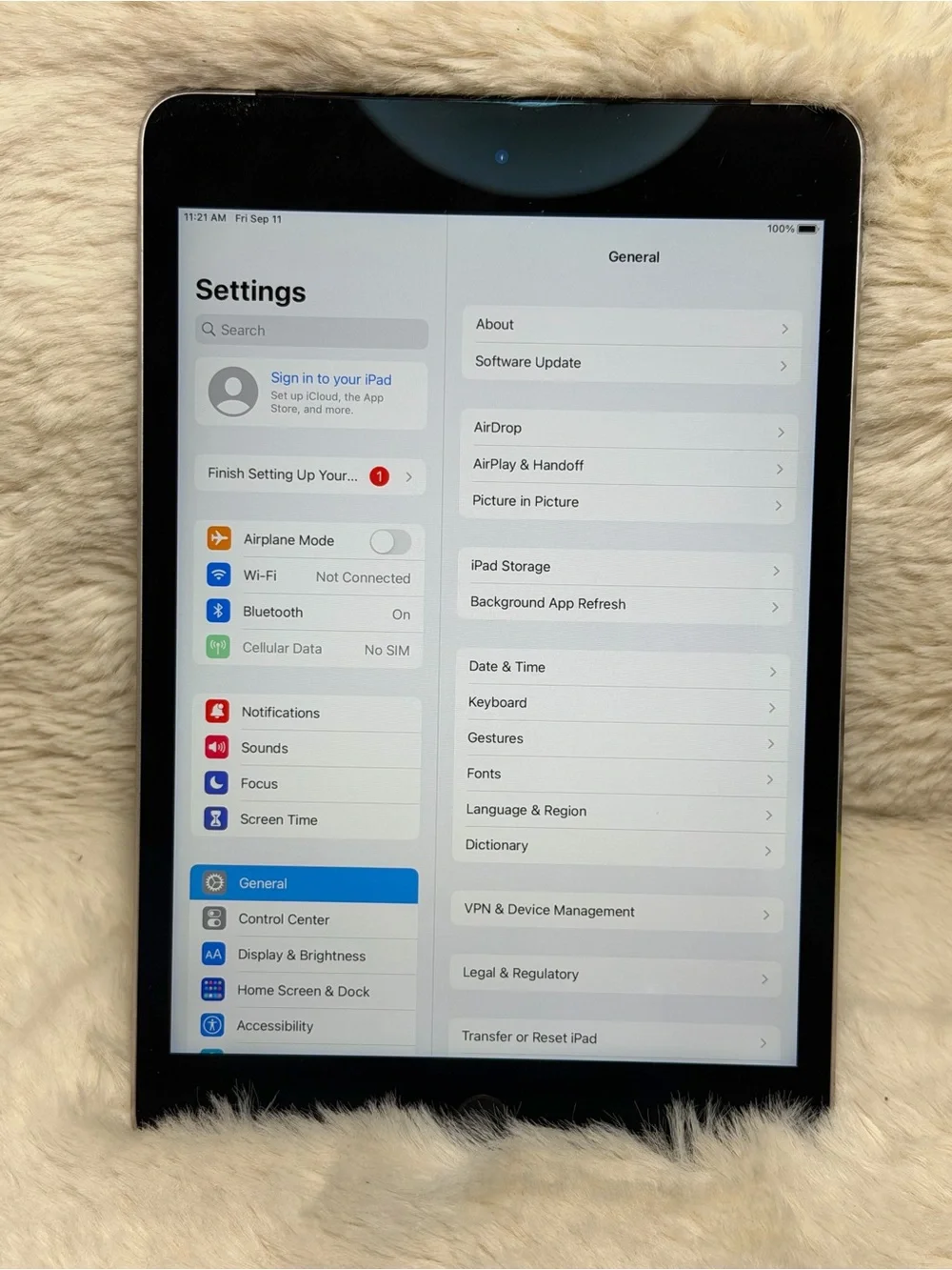 Apple ipad mini